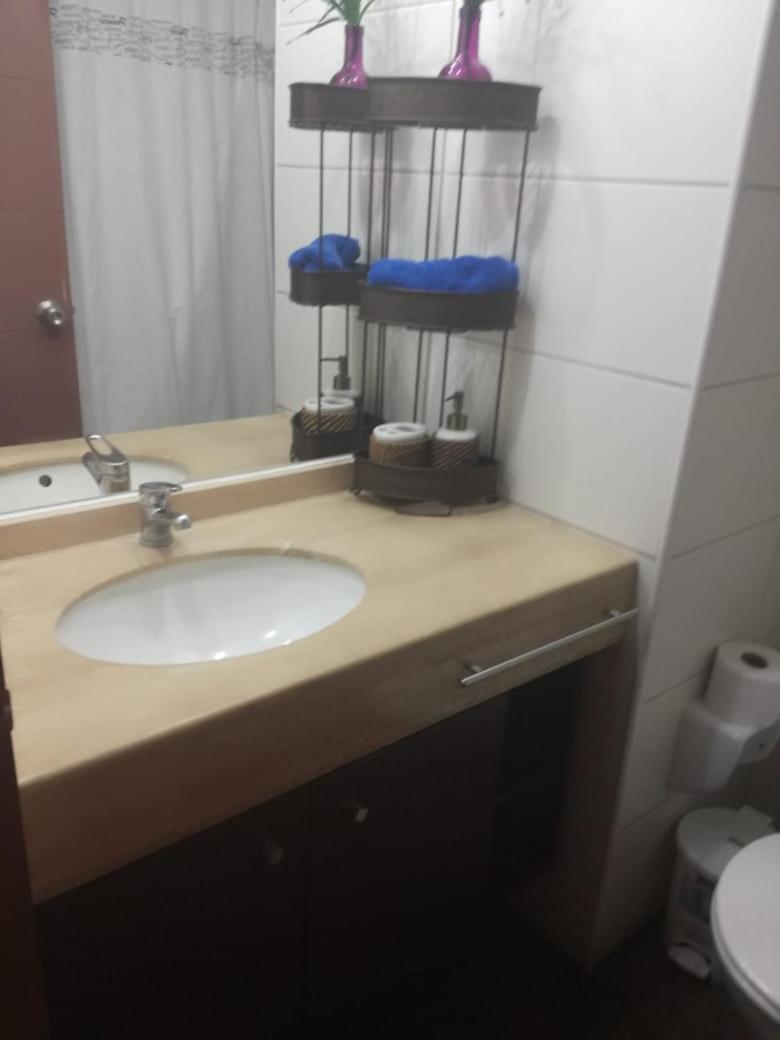 Teatinos 690 Apartman Santiago Kültér fotó